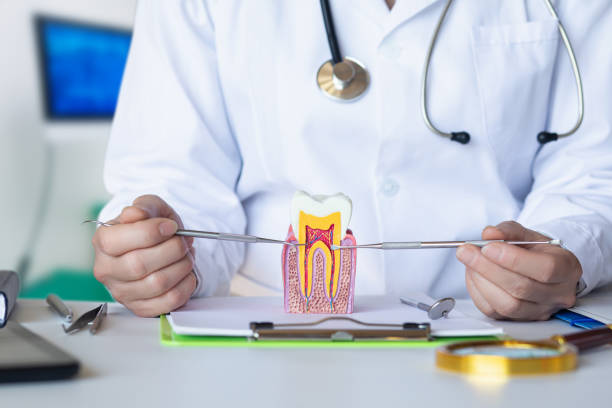 Best Emergency Gum Pain Relief  in Armada, MI